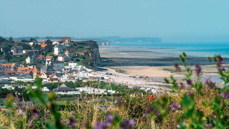 Gite De La Roseraie Quiberville エクステリア 写真